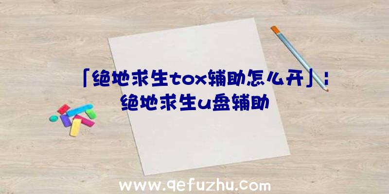 「绝地求生tox辅助怎么开」|绝地求生u盘辅助